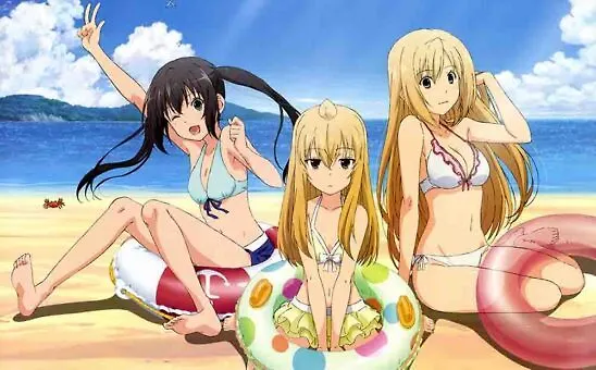 Minami-ke Okaeri BD Subtitle Indonesia